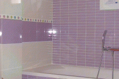DSC00557